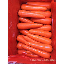 80-150g New Crop Fresh Carrot